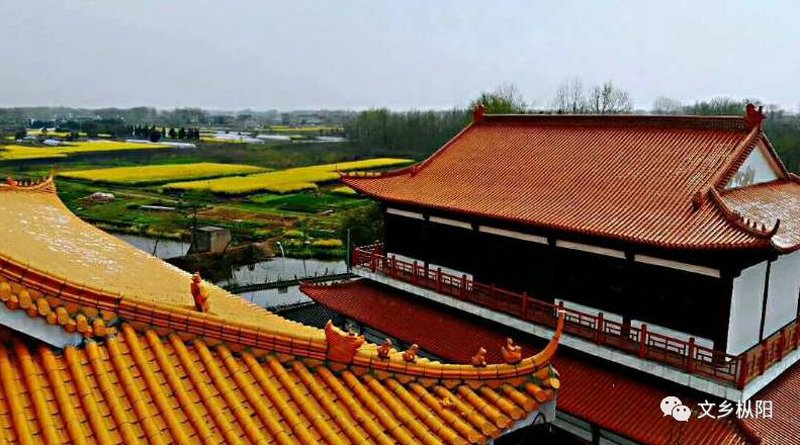 枞阳佛教协会官网：连接信仰与世界的桥梁